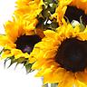 Sunflower Invite - Invite