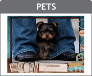Pets Slideshows