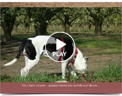 Click to play this Smilebox slideshow