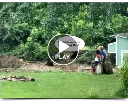 Click to play this Smilebox slideshow