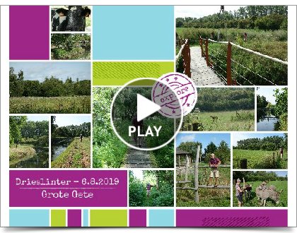 Click to play this Smilebox collage