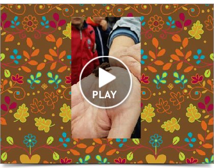 Click to play this Smilebox slideshow