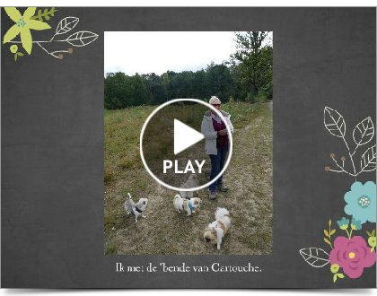 Click to play this Smilebox slideshow