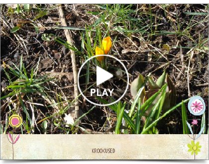 Click to play this Smilebox slideshow