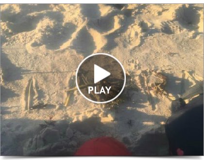 Click to play this Smilebox slideshow