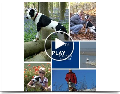 Click to play this Smilebox collage